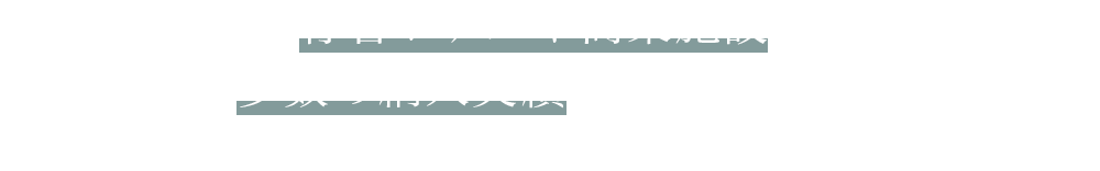 有名ホテルや商業施設に多数の納入実績がございます。